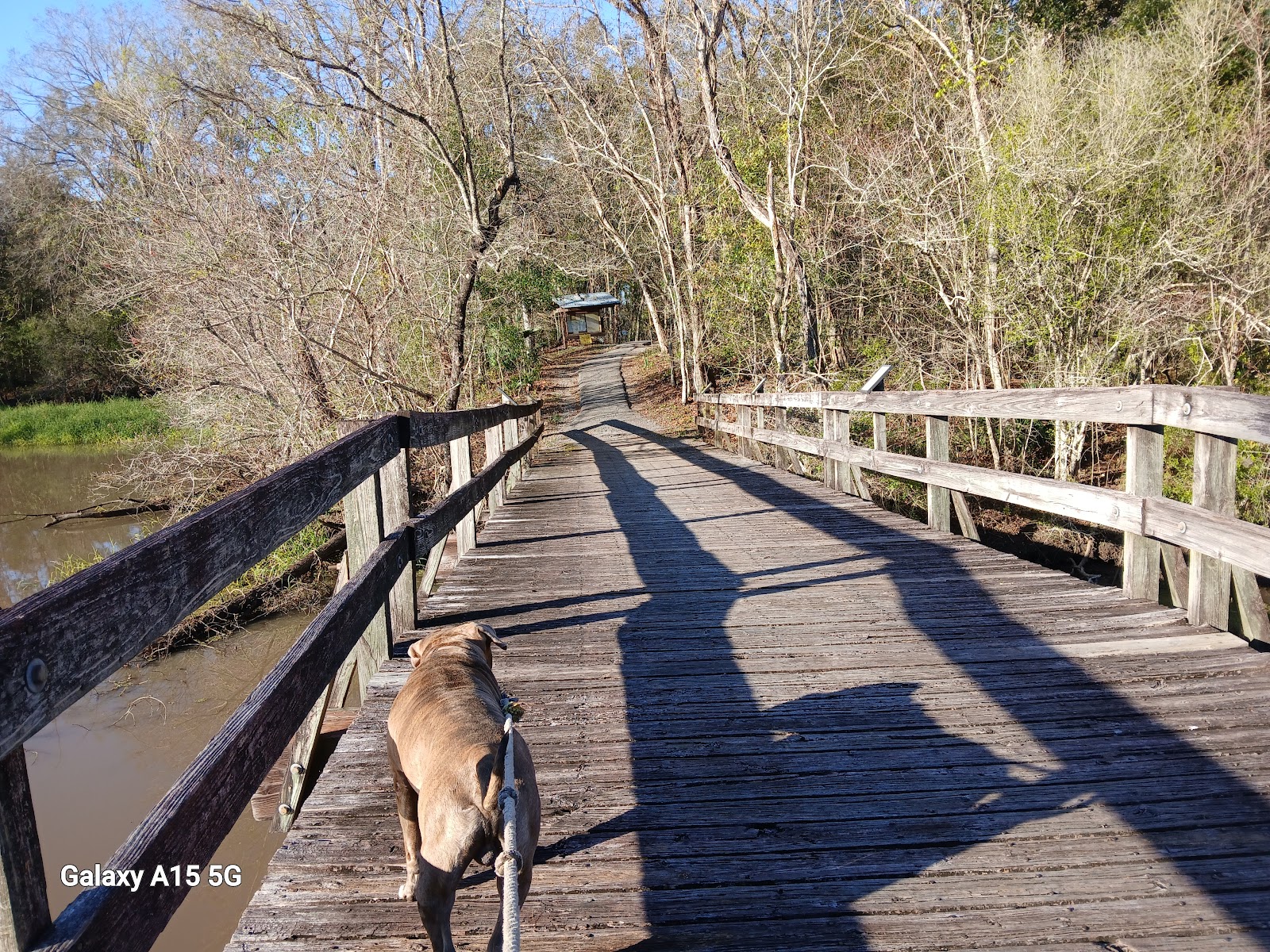 Lake Fausse Pointe State Park
