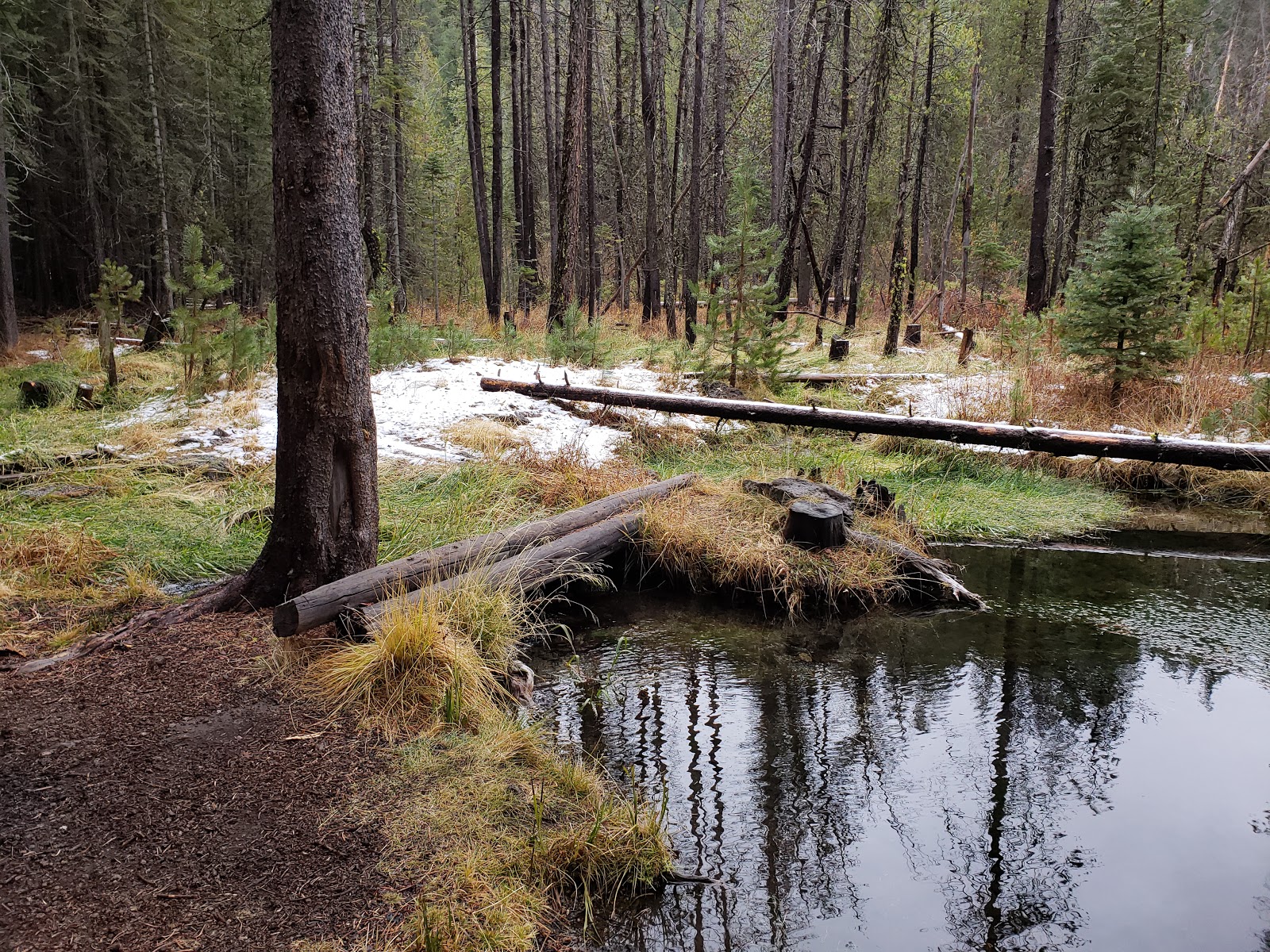 Willow Springs Campground
