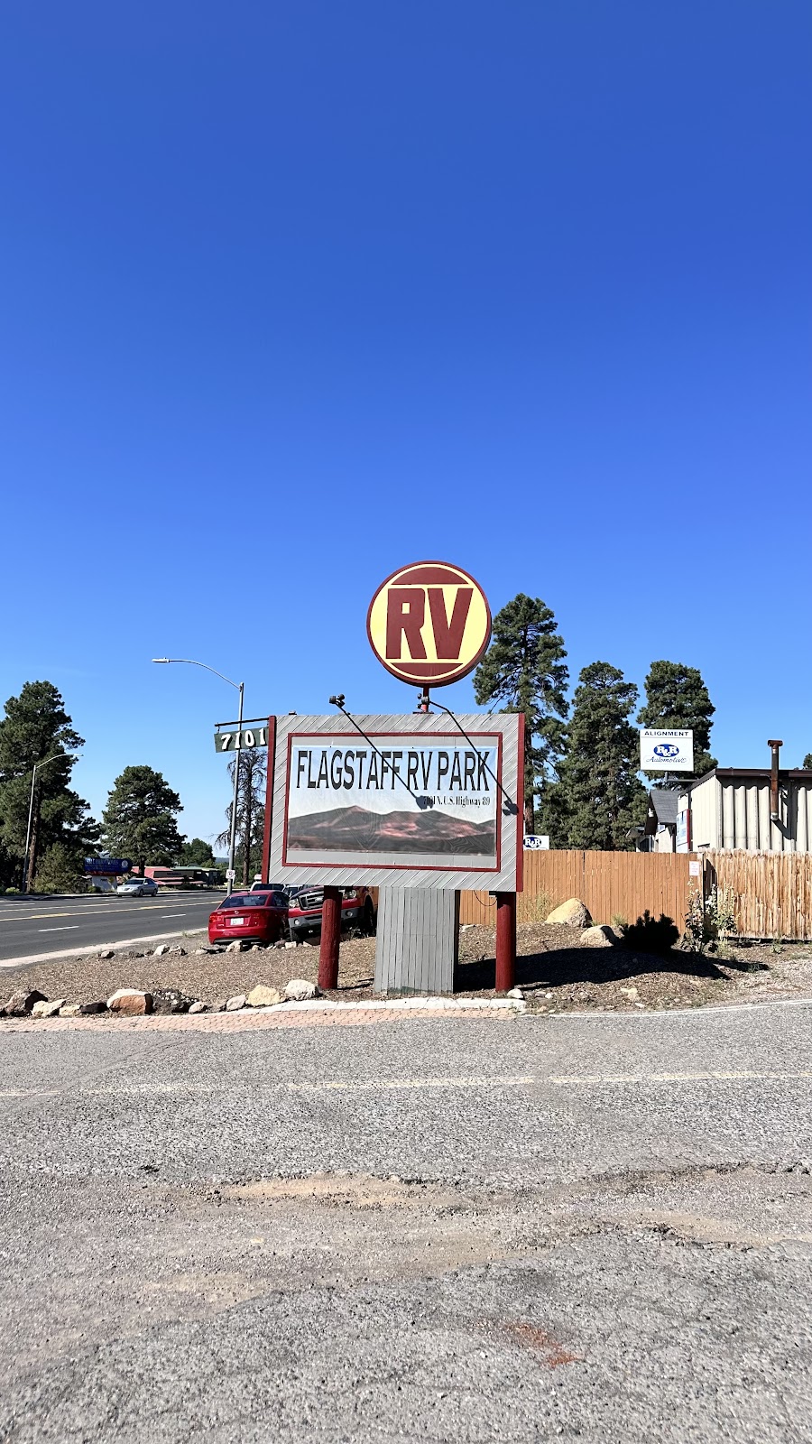 Greer's Pine Shadows