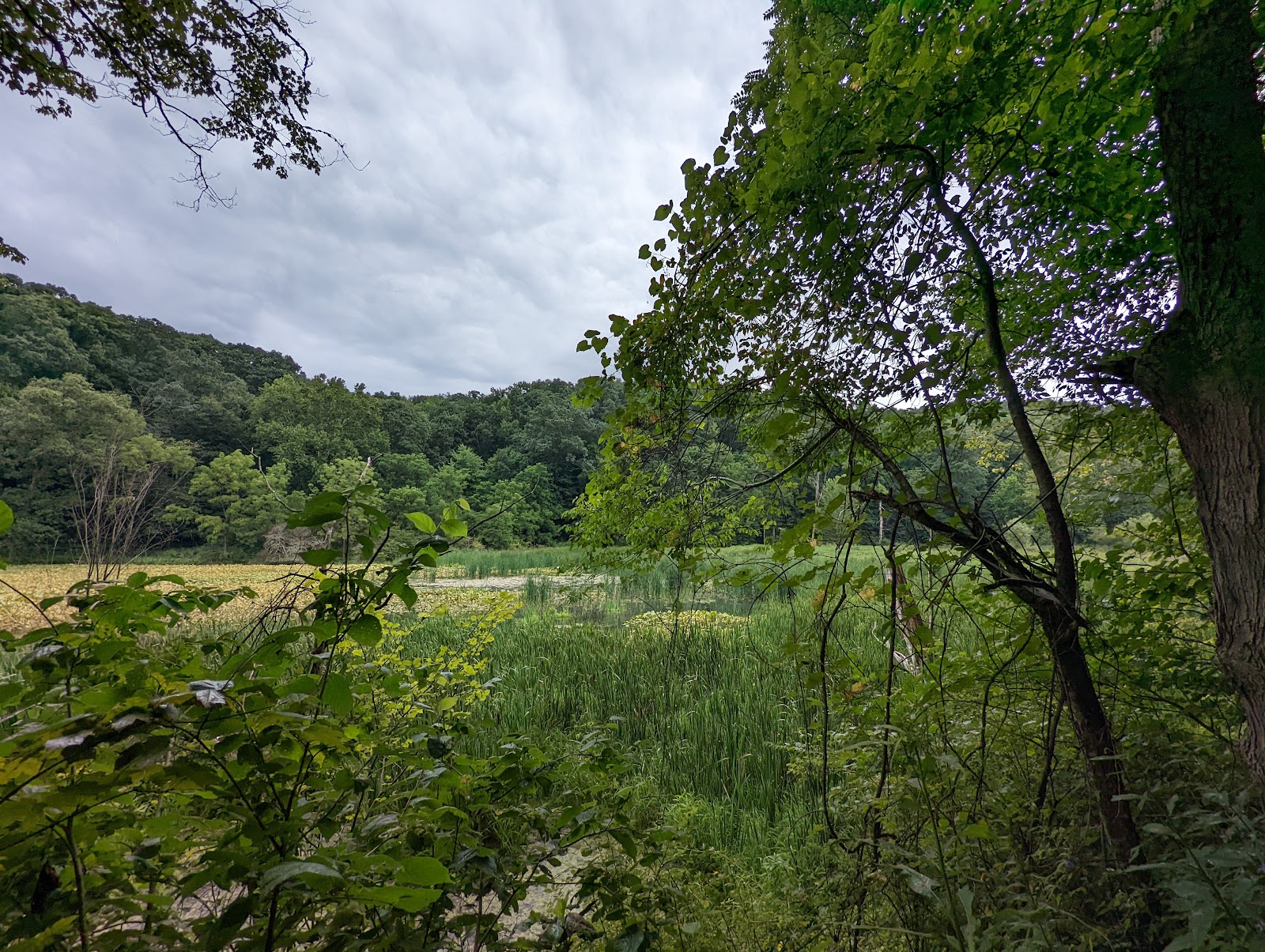 Jefferson Lake State Park