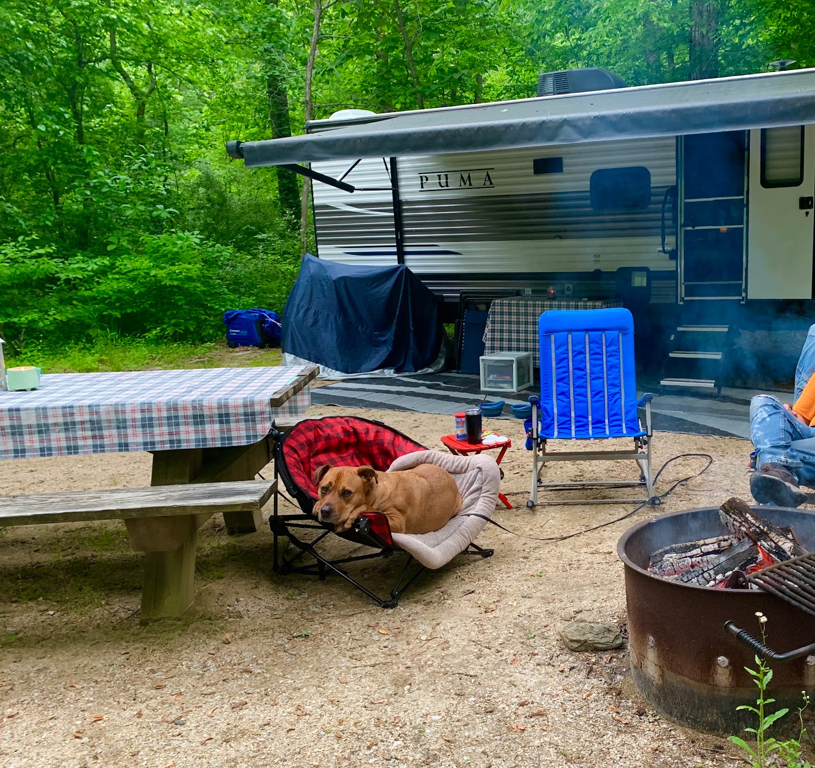 Cave Mountain Lake Recreation Area