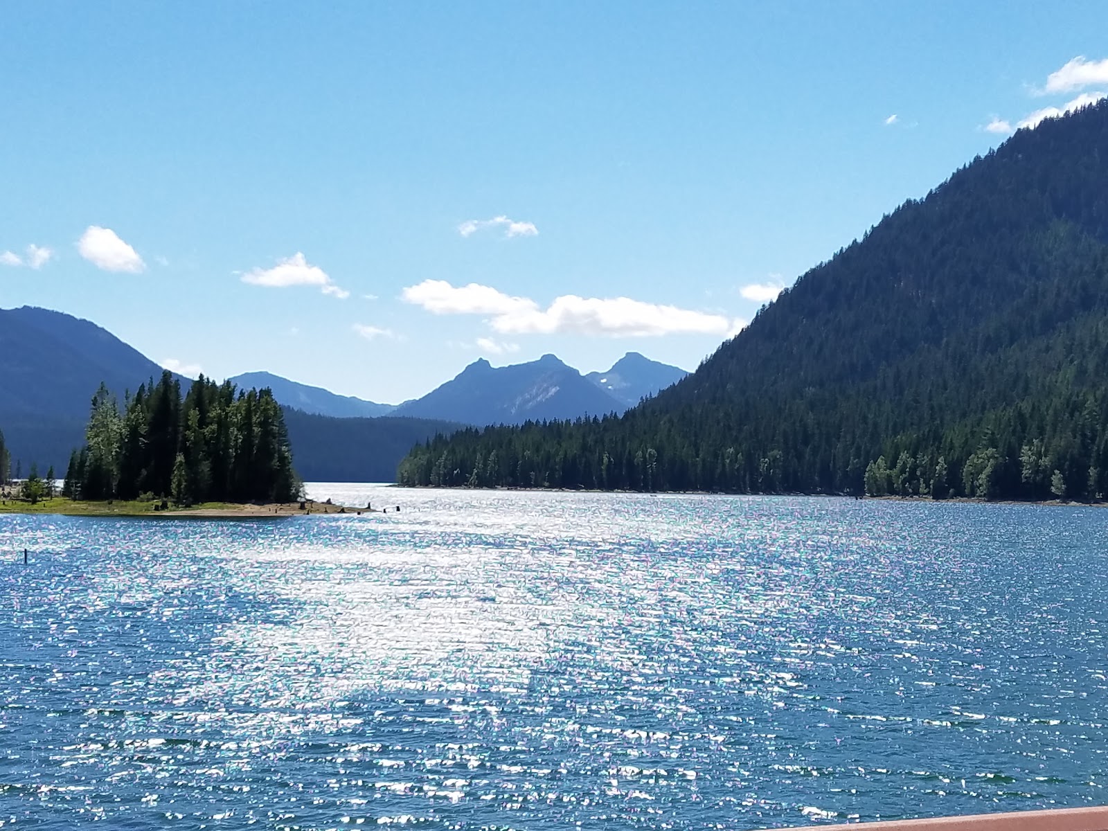 Pine Needle Group Campground