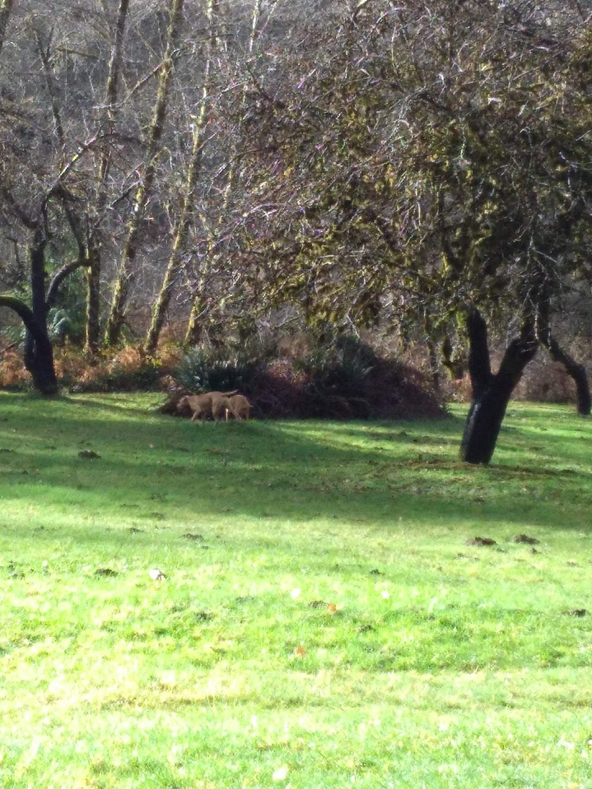 Canal Creek Group Campground