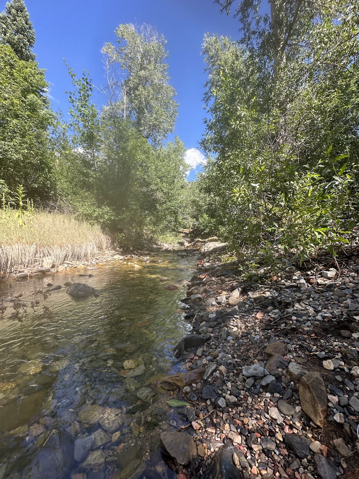 Cottonwood Campground