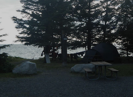 Coho Campground - Anchor River SRA