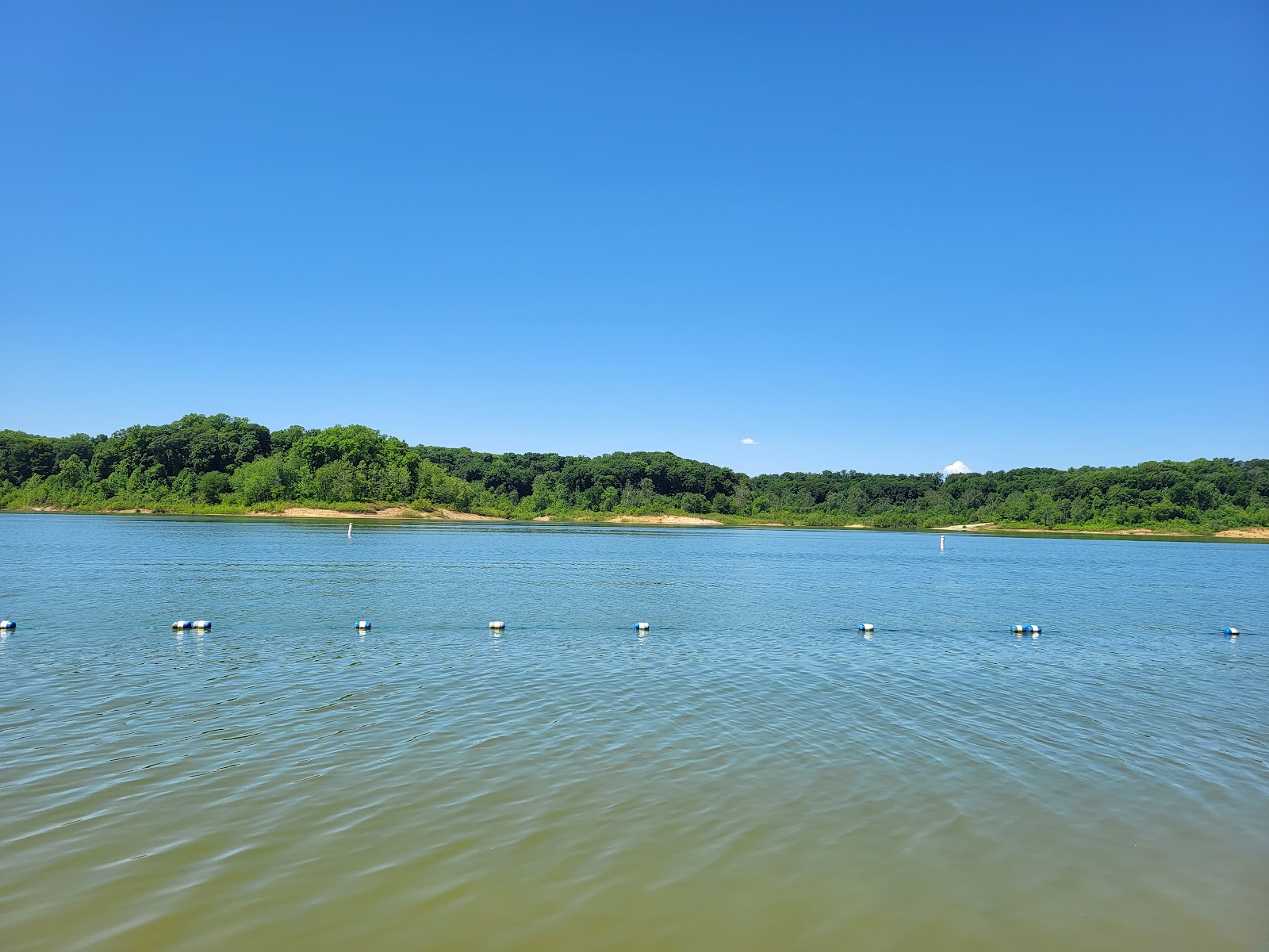 Cagles Mill Lake (Lieber SRA)