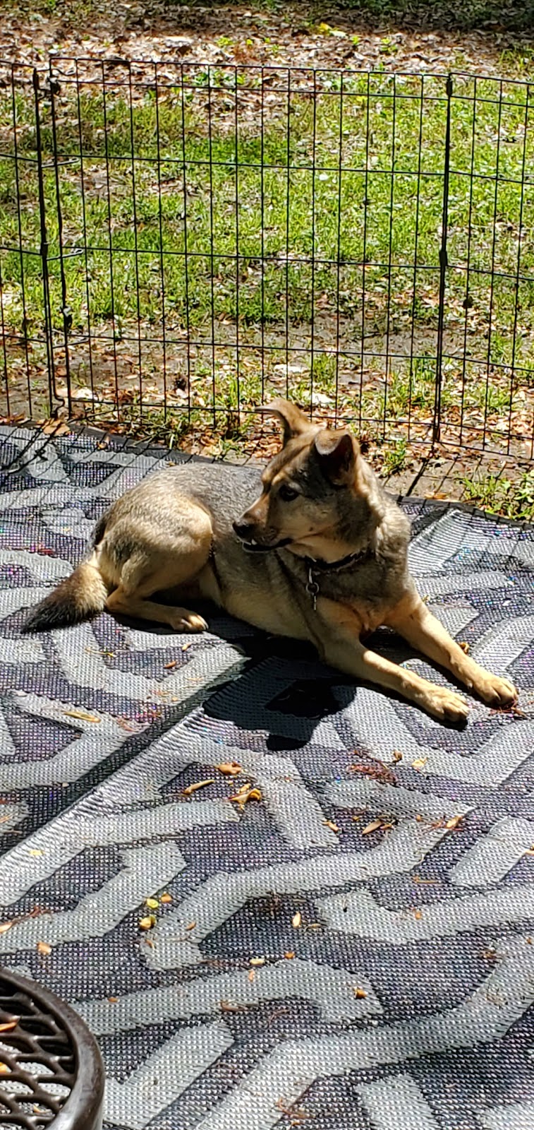 Dobbins ARB Rec Area & FamCamp