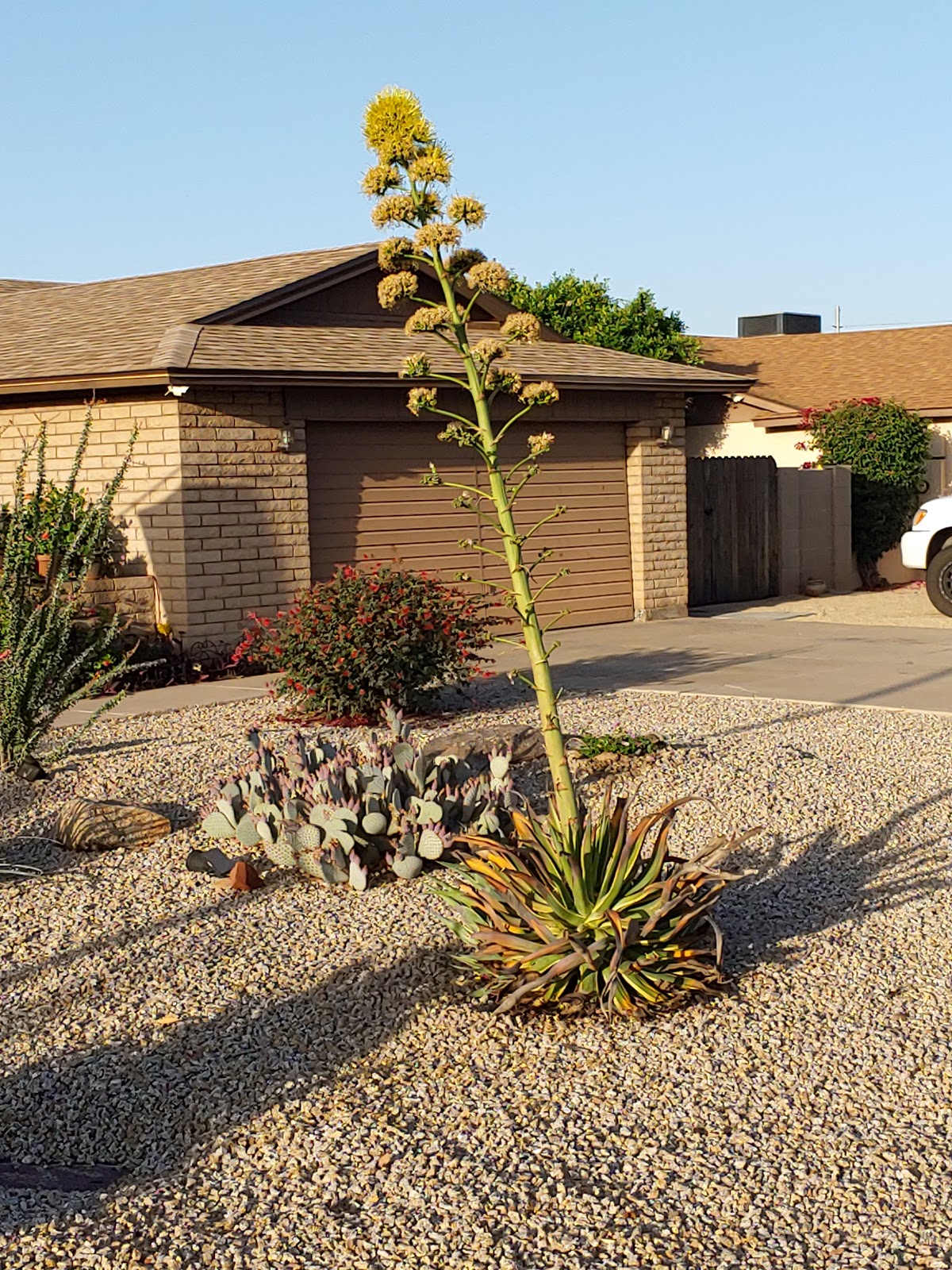 Desert Shadows RV Resort
