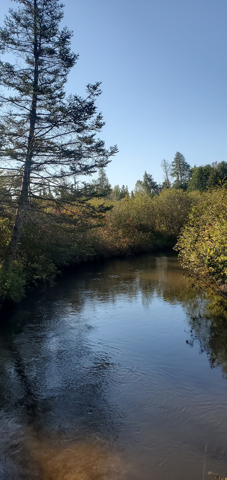 Pine Grove SF Campground