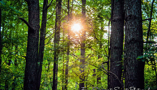 Lincoln Trail State Park