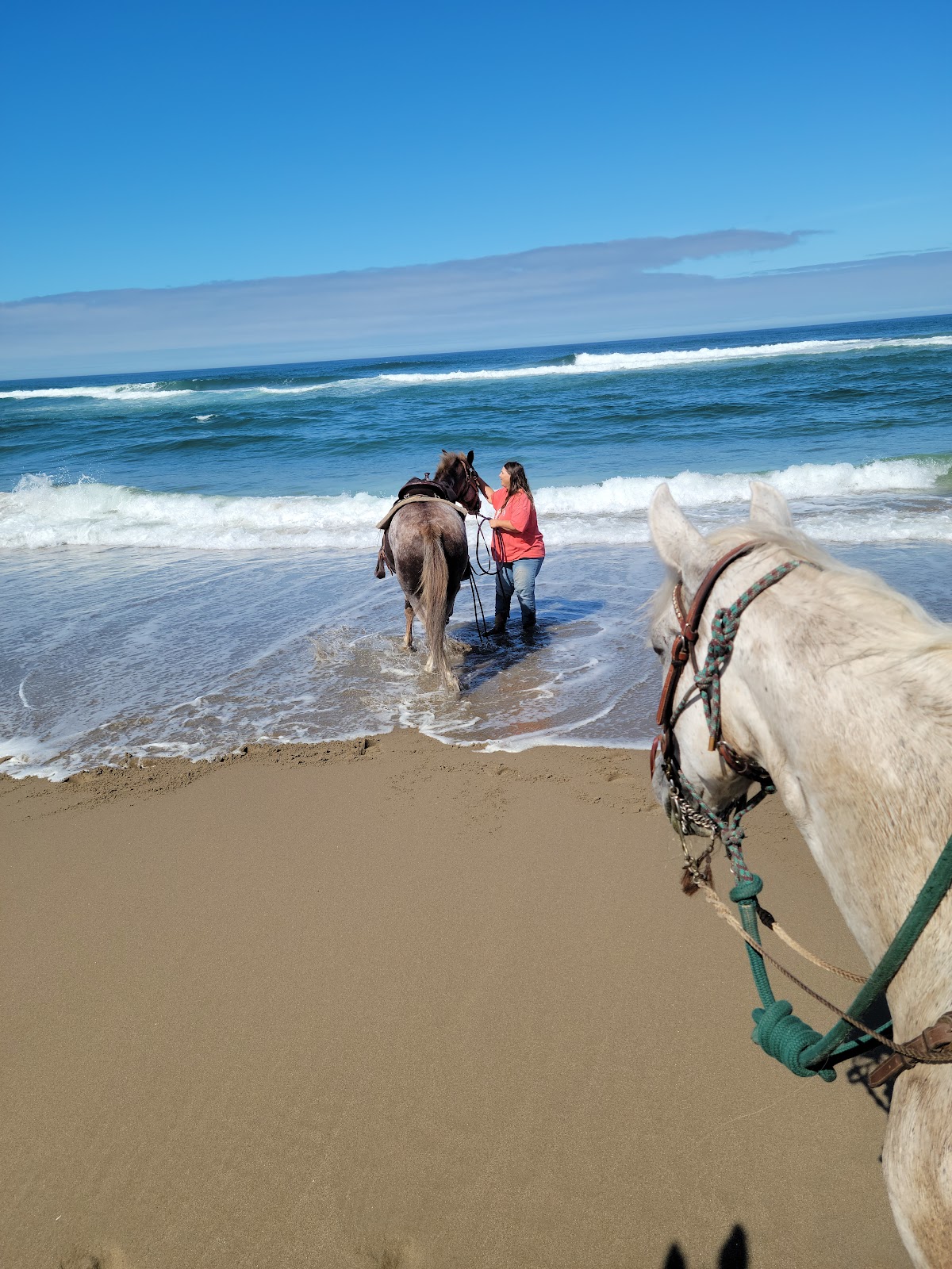 Wild Mare Campground