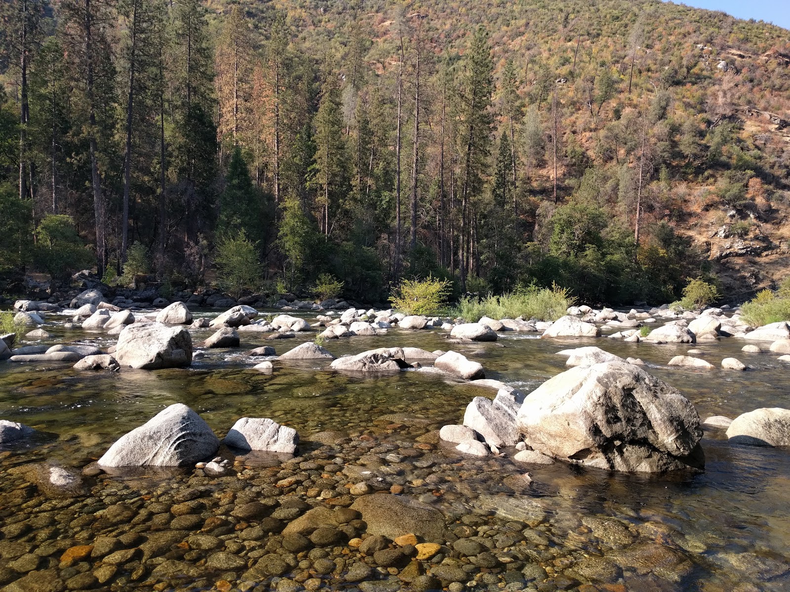 Lumsden Bridge Campground