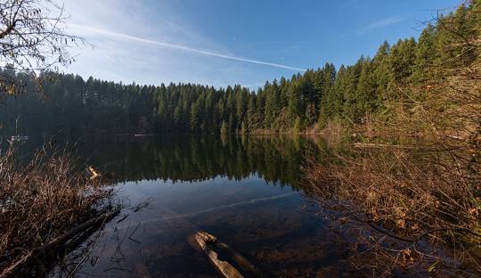 Battle Ground Lake