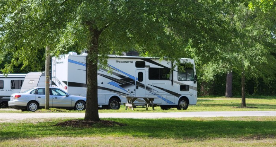 Contentnea Creekside City Park