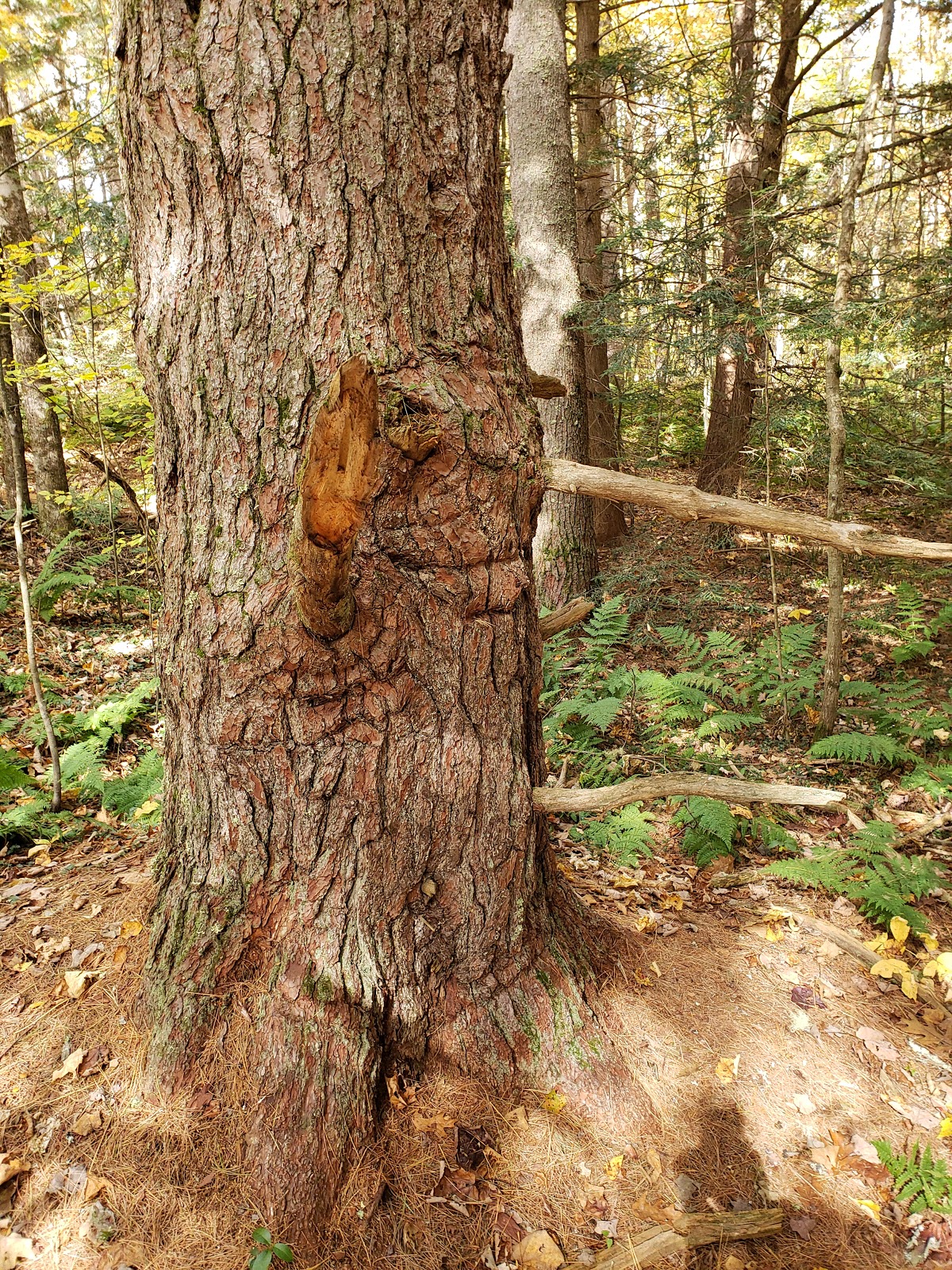 Lake Dennison Recreation Area