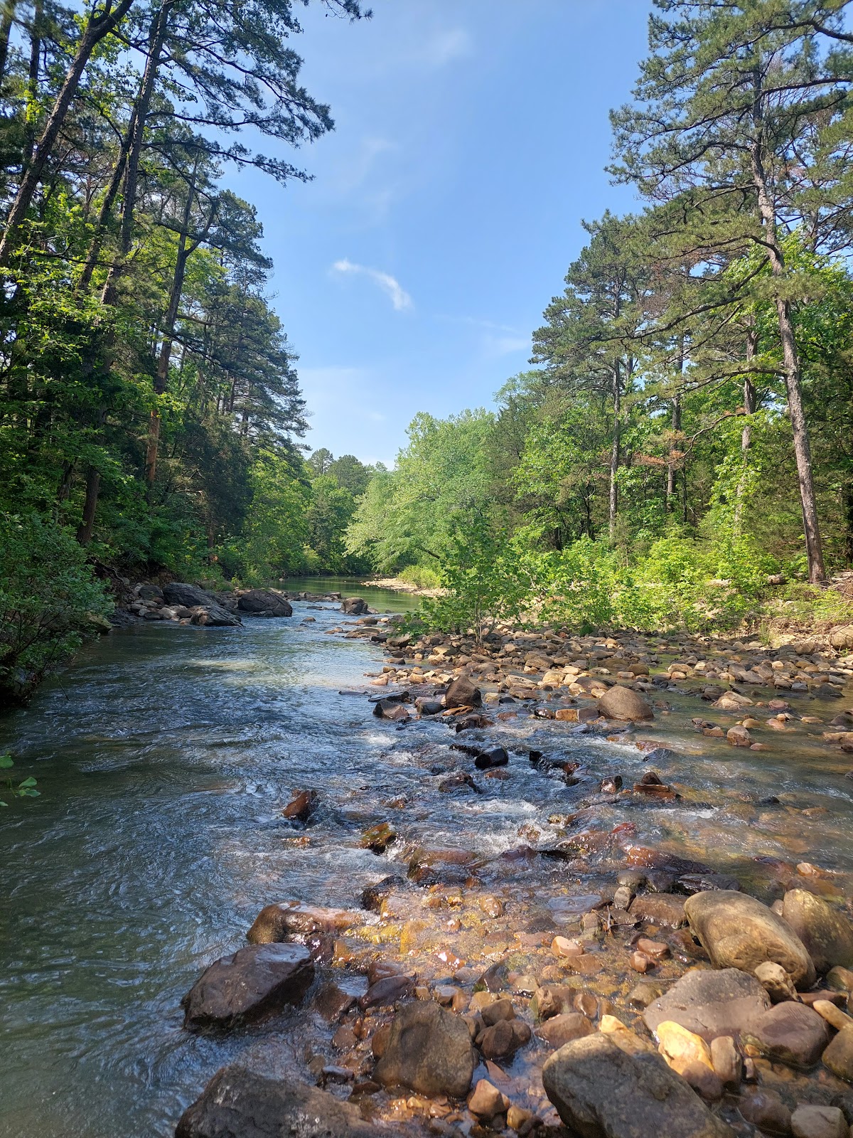 Billy Creek NF Campground