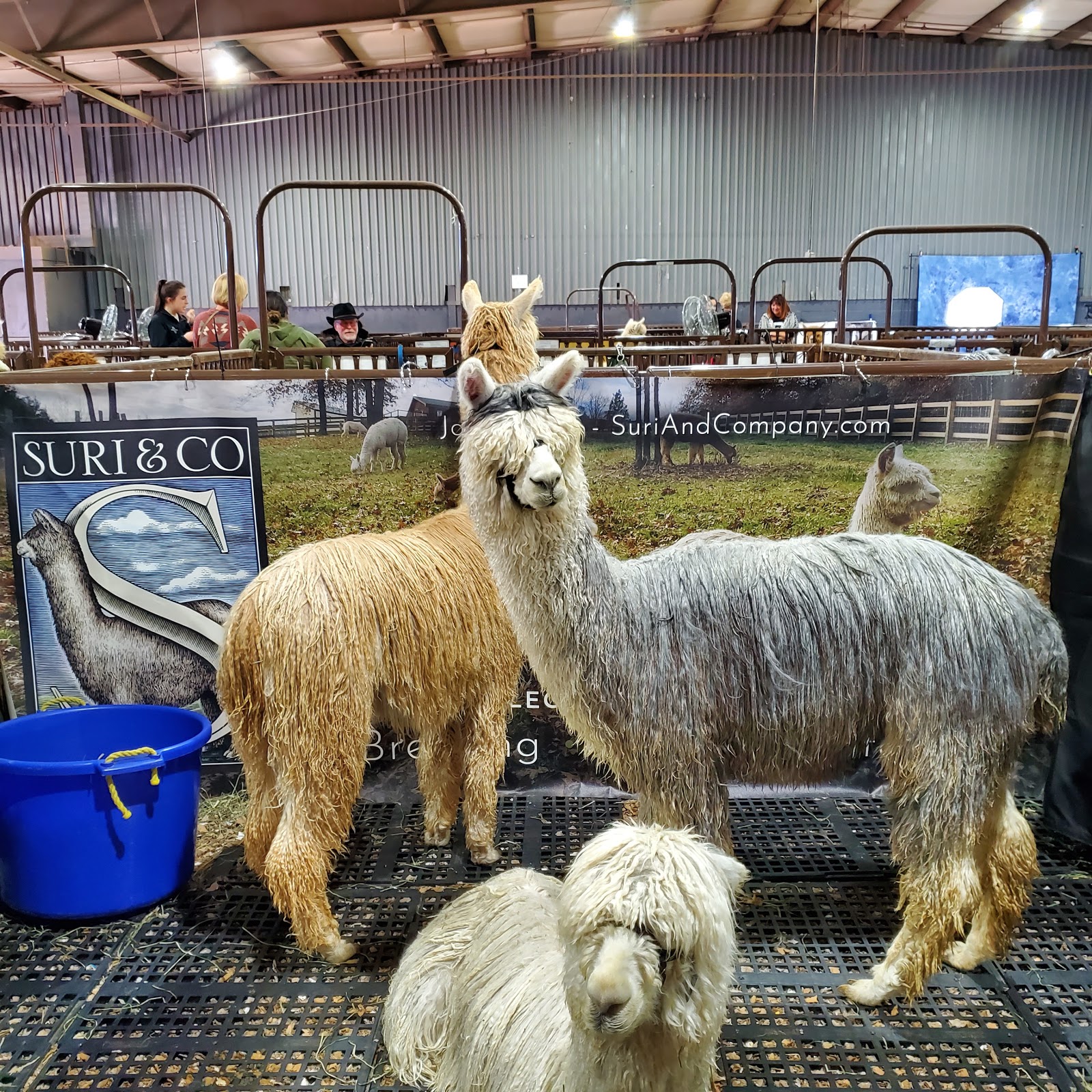 Heart Of Oklahoma Expo Center