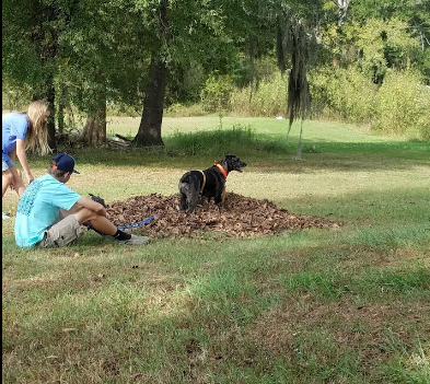 Bistineau Lake RV Park