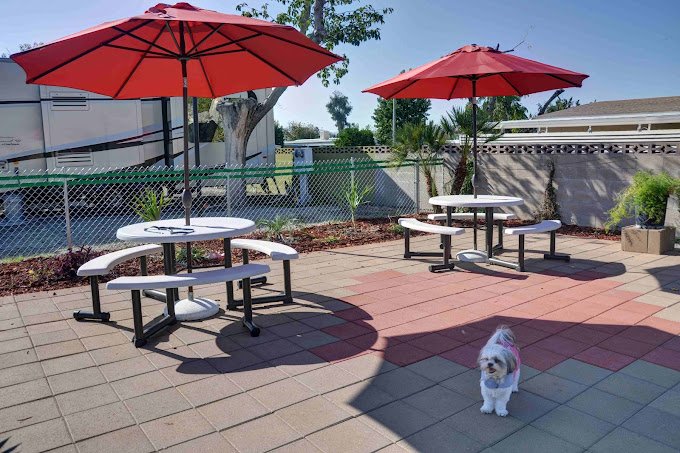 Diamond Valley RV Park