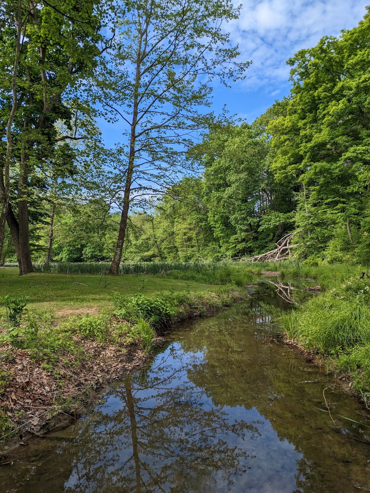 Blue Rock State Park