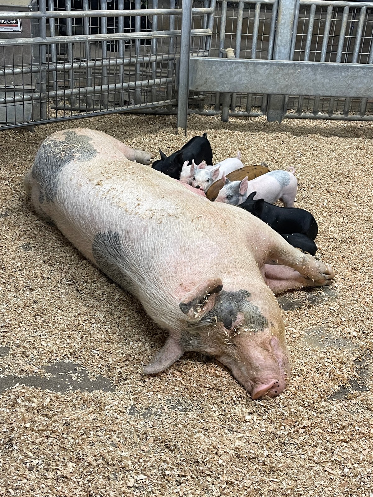 Orange County Fair and Event Center Campground