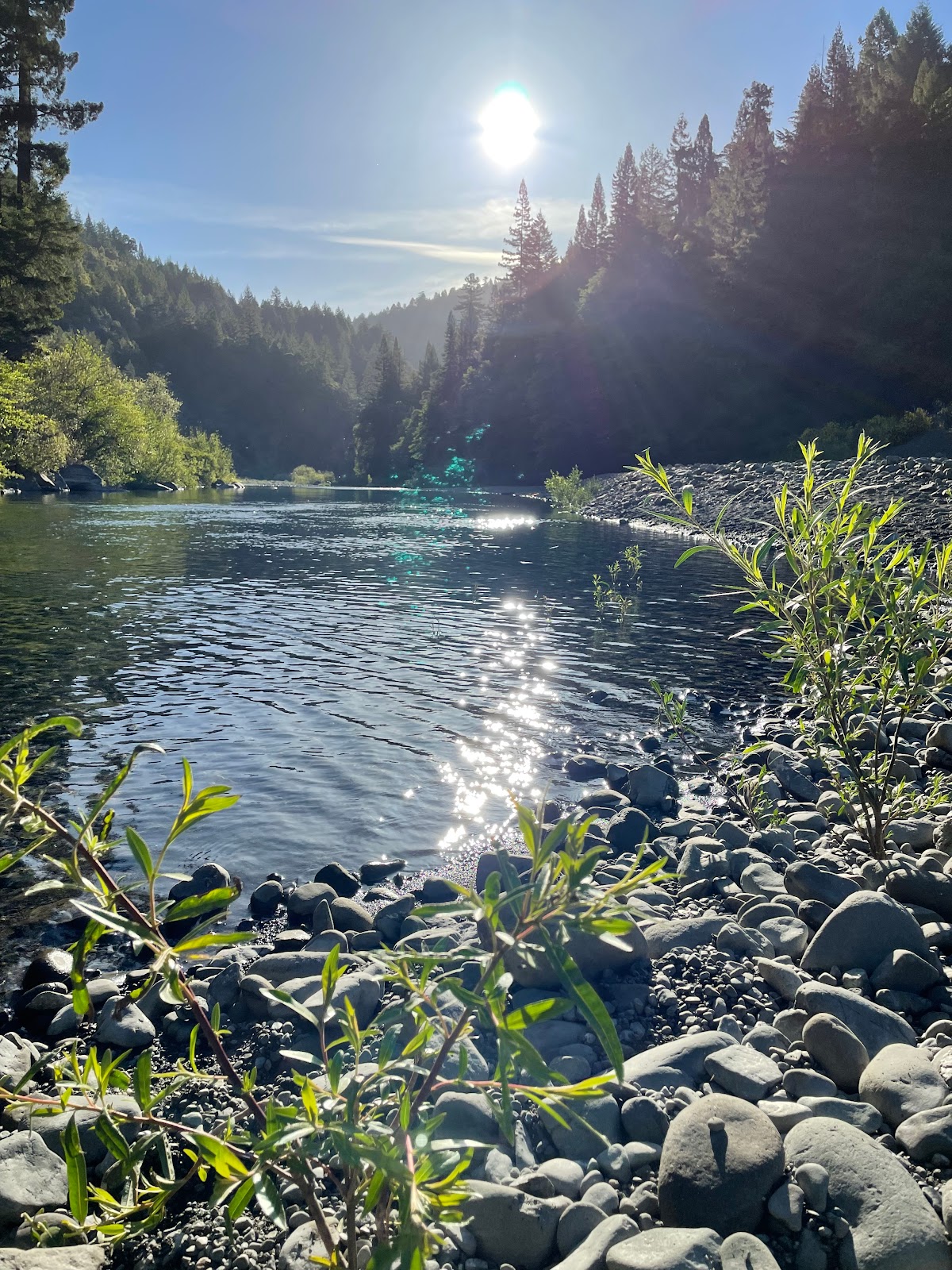 Redwoods River Resort