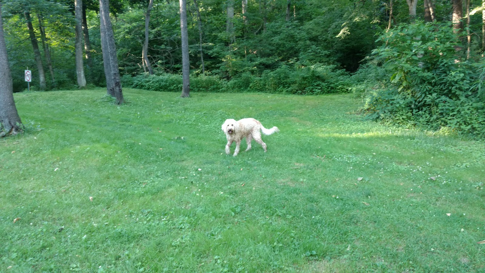 Lock 30 Woodlands RV Resort