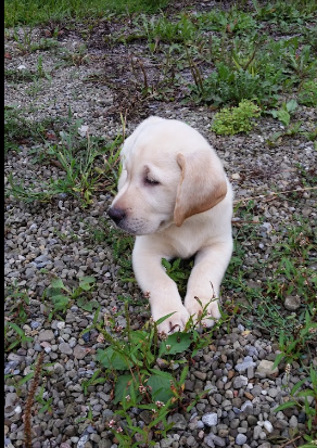Crystal Springs Campground
