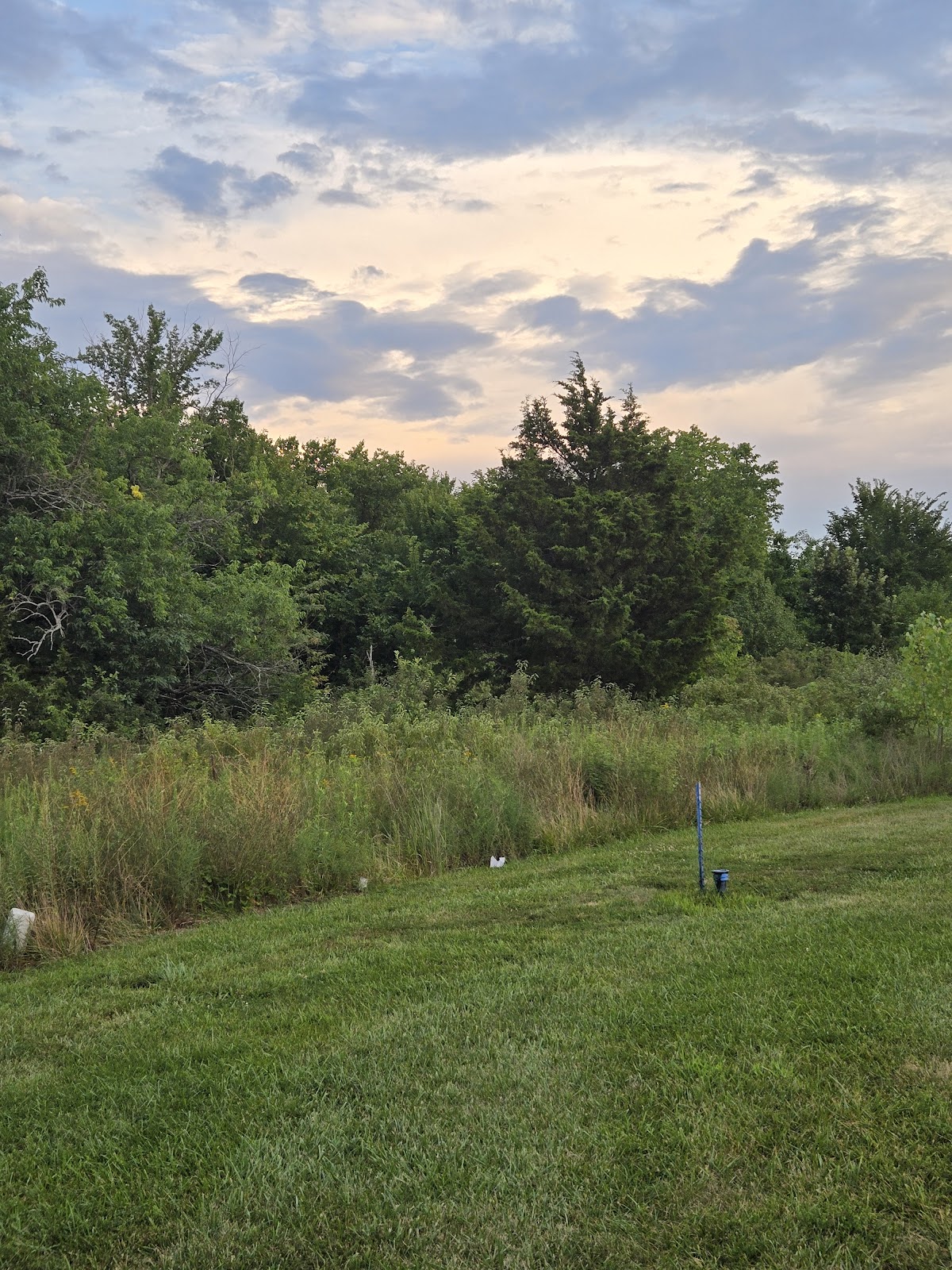 Sunflower Campground