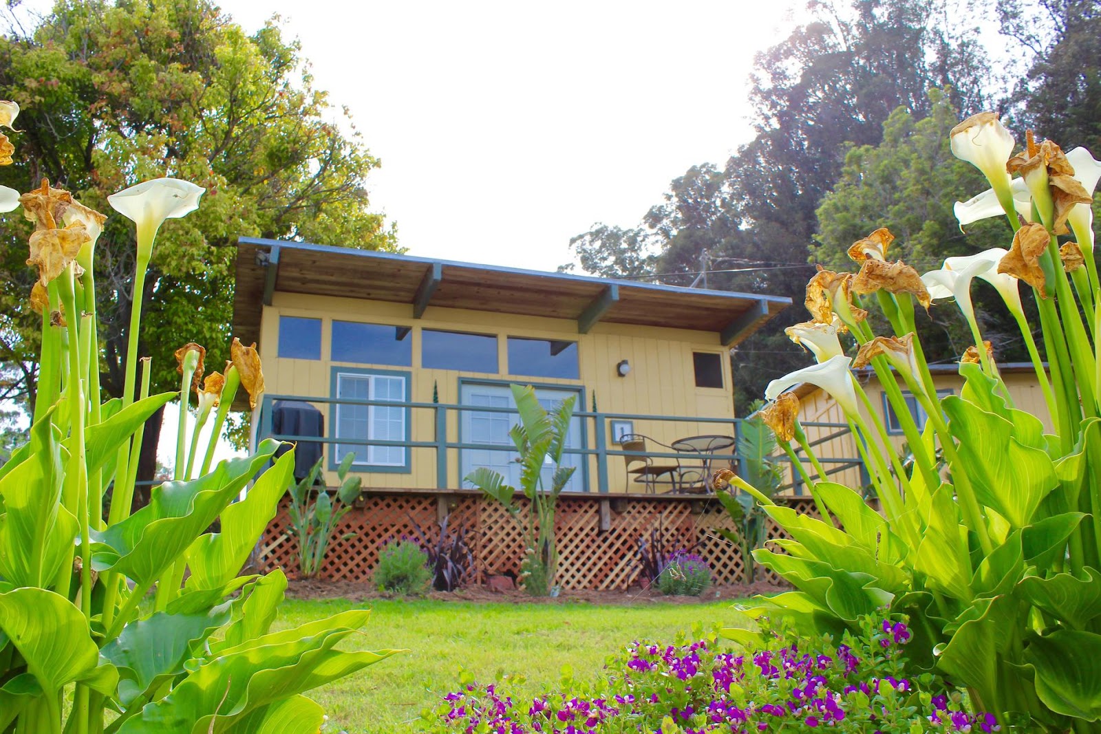 KOA Salinas Monterey