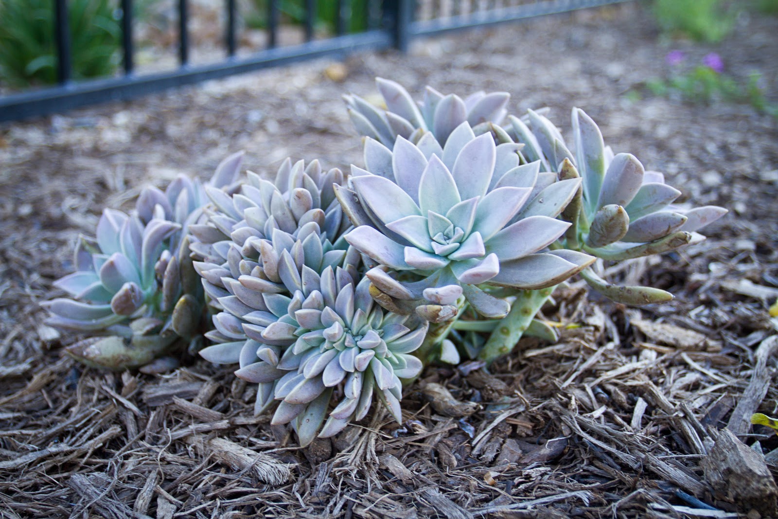 Lake San Antonio Kampground