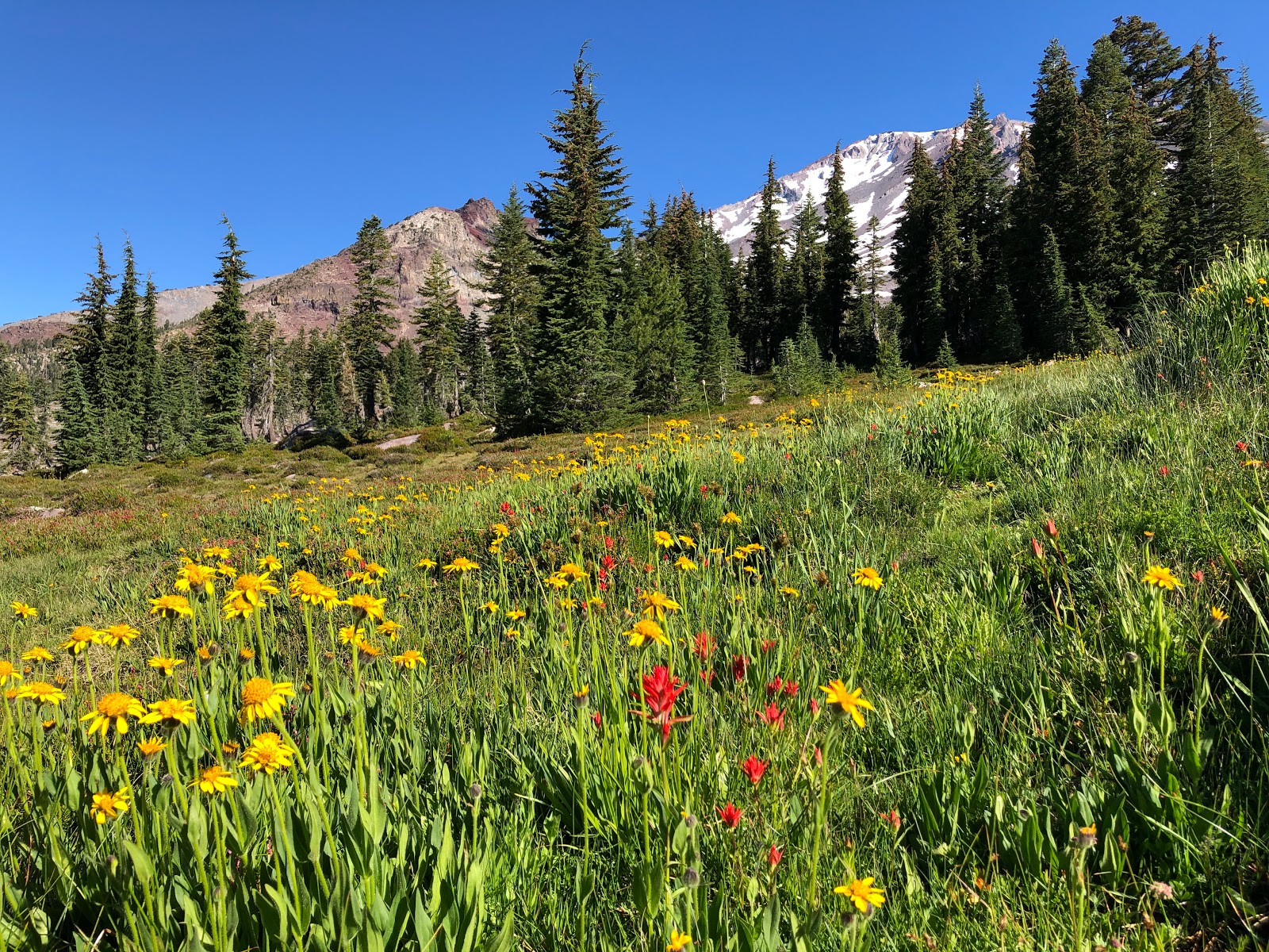 Panther Meadows Walk-In Campground
