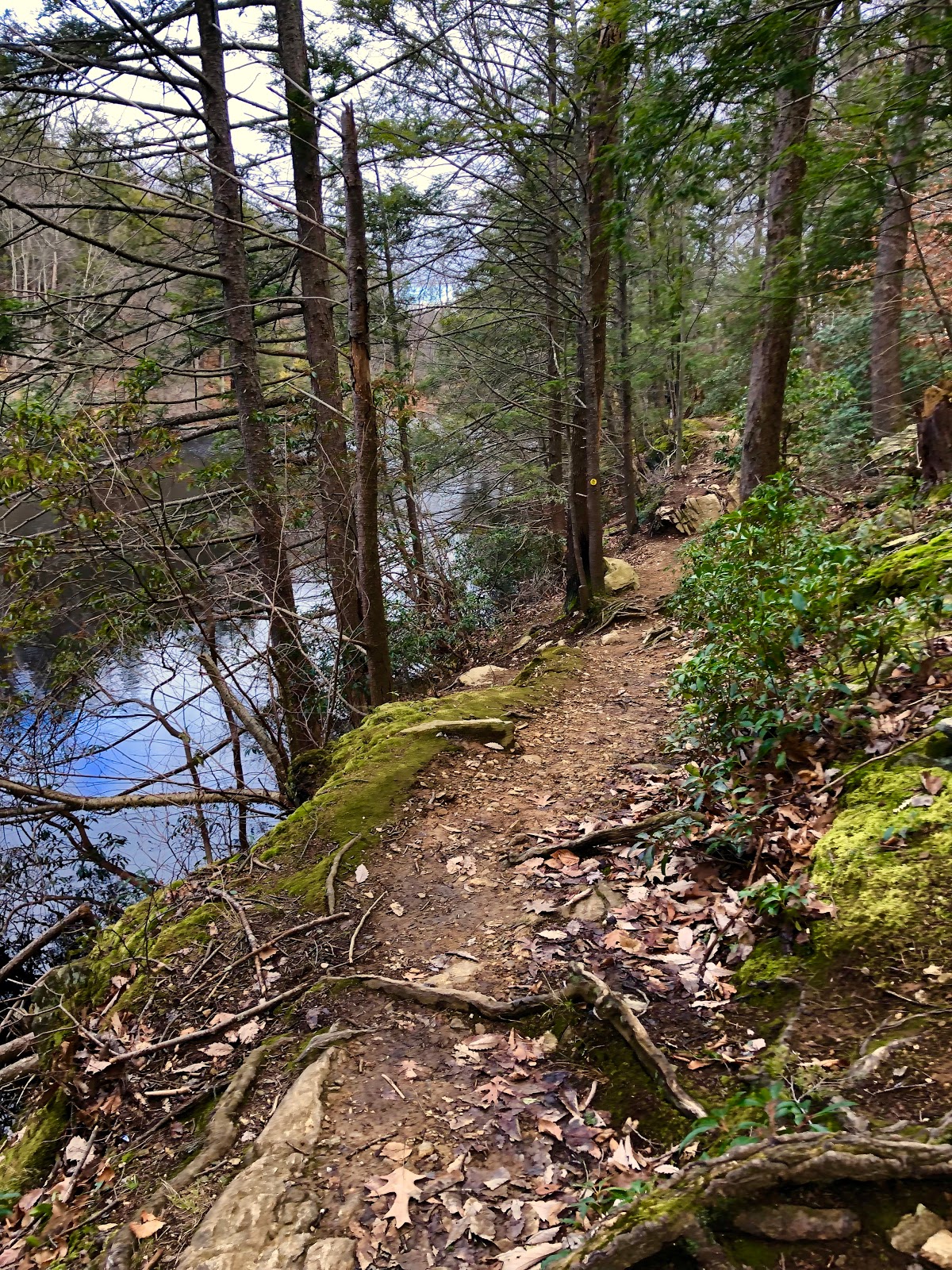 Pelton Pond - Clarence Fahnestock State Park