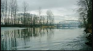 Tolt River-John MacDonald Park