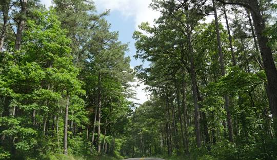 Hobbs State Park-Conservation Area