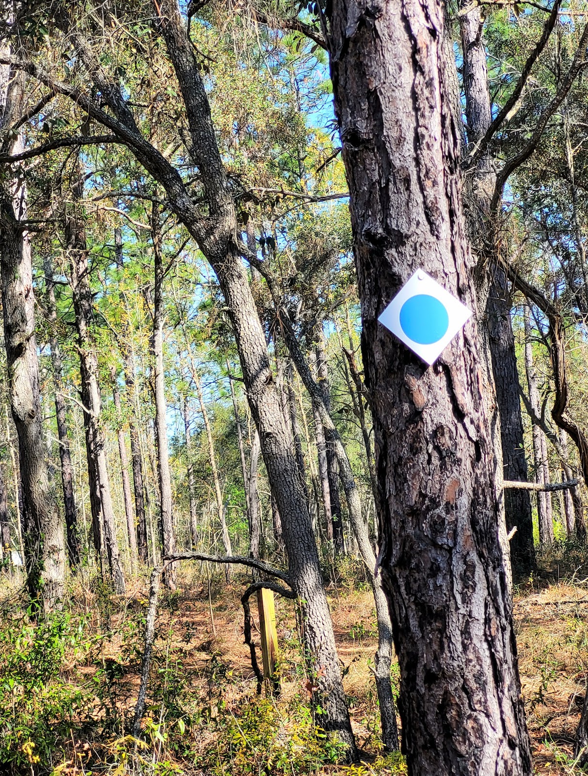 Watermelon Pond North Trailhead