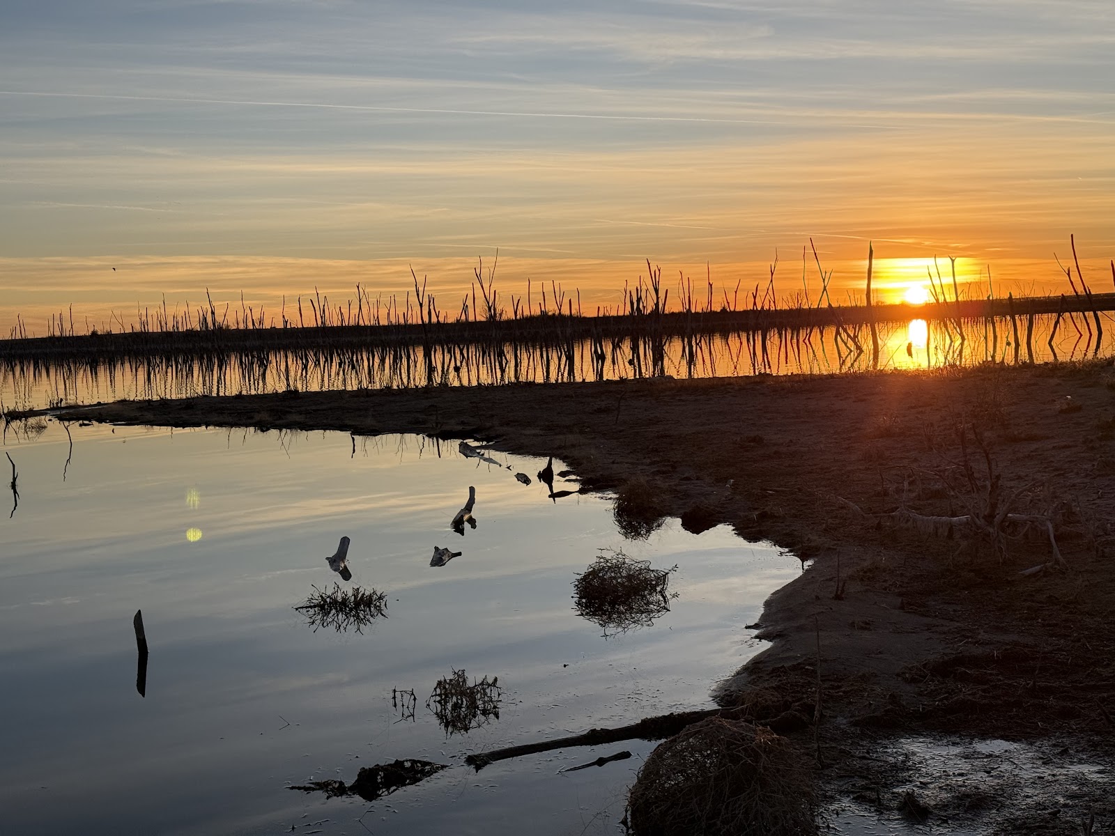 Bluffton - Cedar Bluff State Park