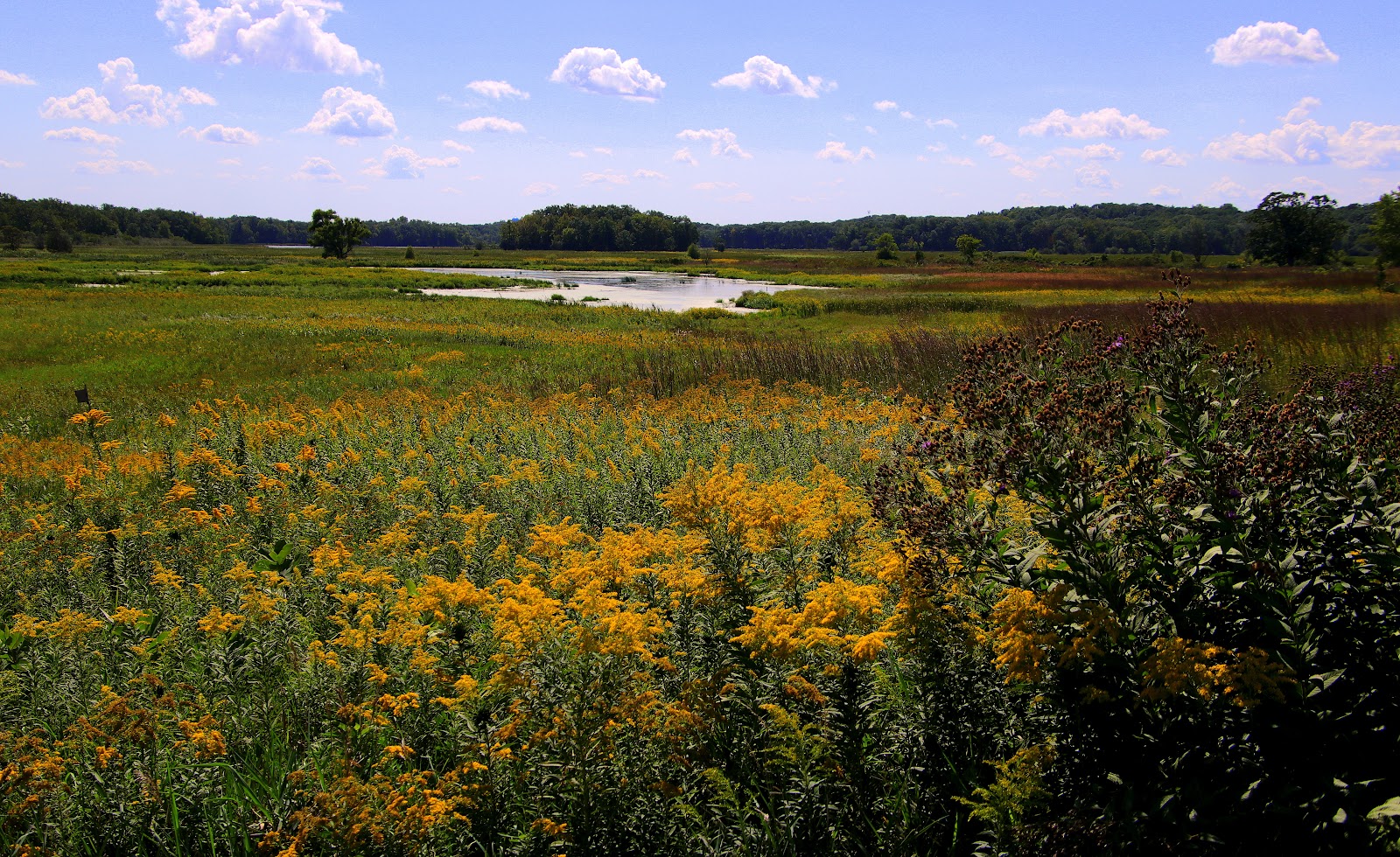 Chain O'Lakes State Park IL