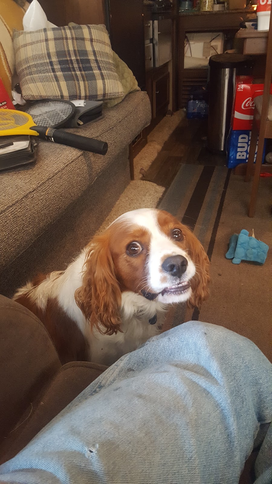 Appleton Municipal Campground