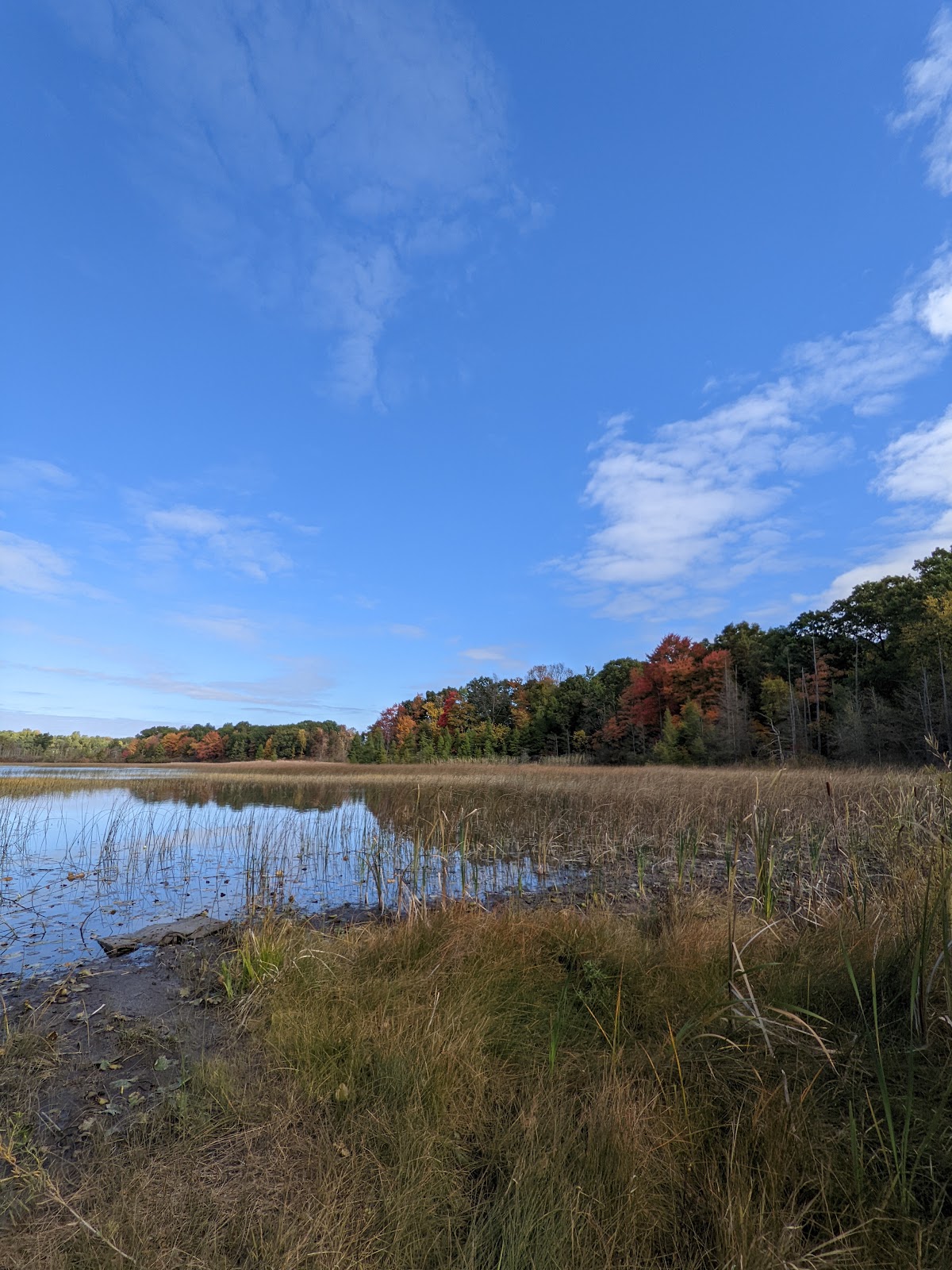 Murray Lake Rustic Campground