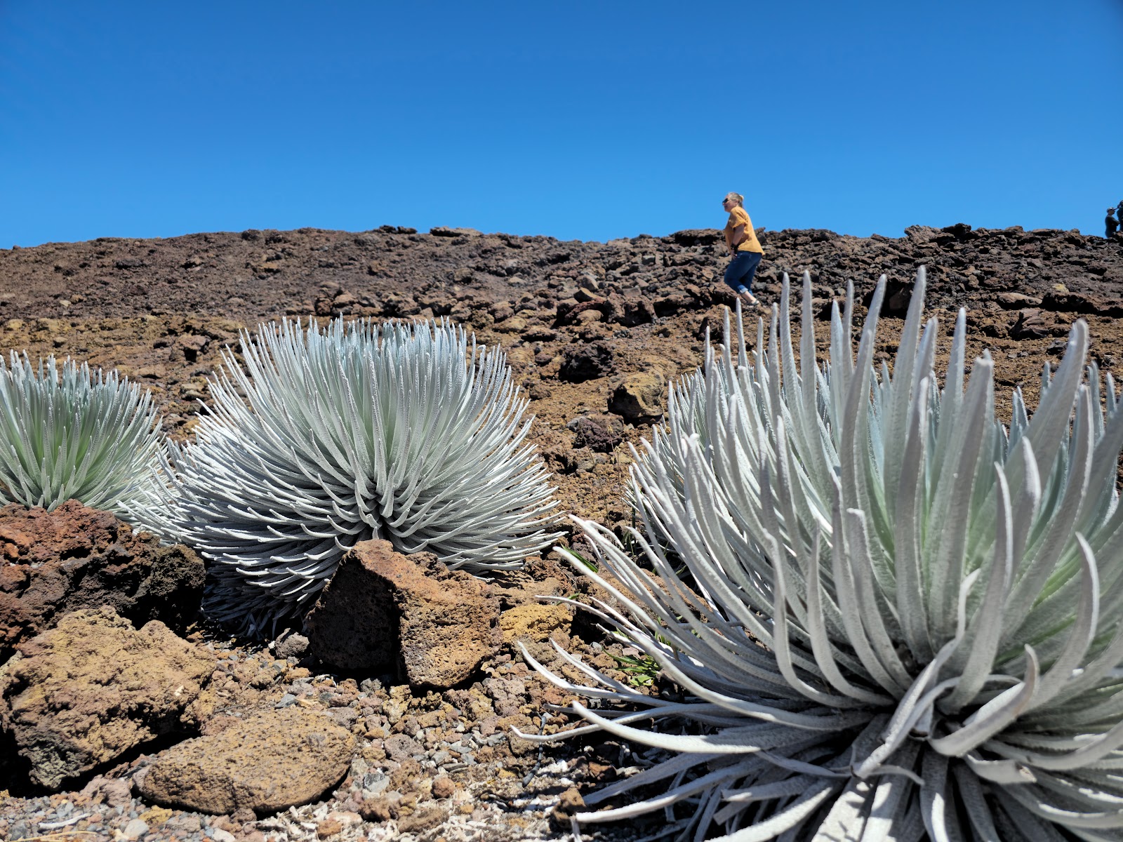 Haleakala National Park (Wilderness Tent Permits)