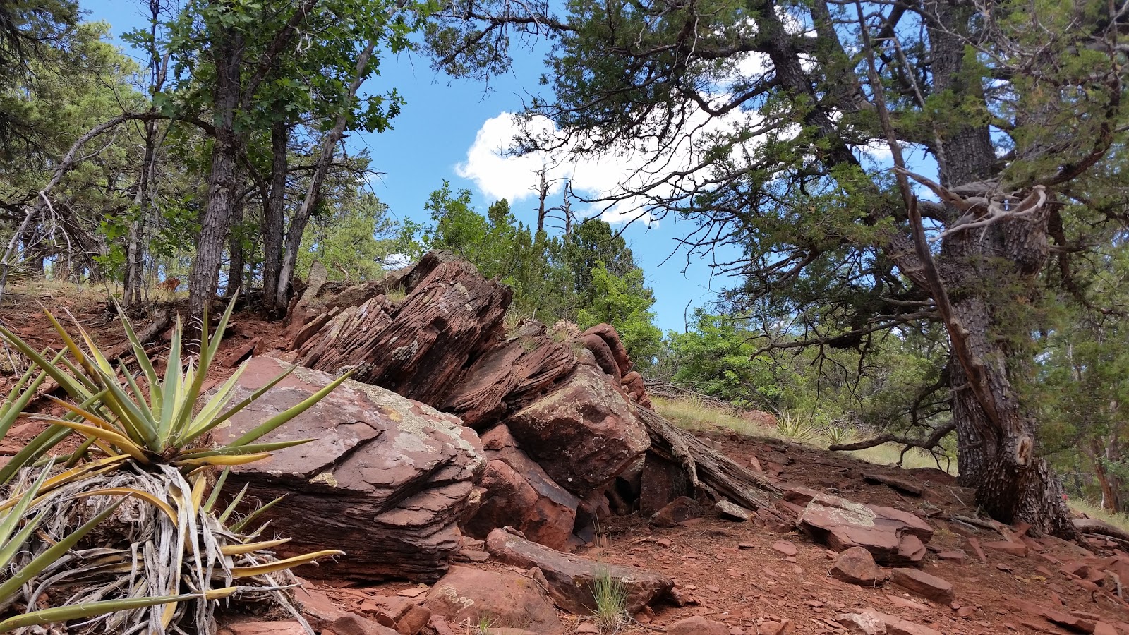 Quaking Aspen Campground