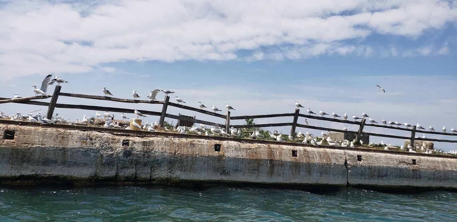 Lime Island SF Campground