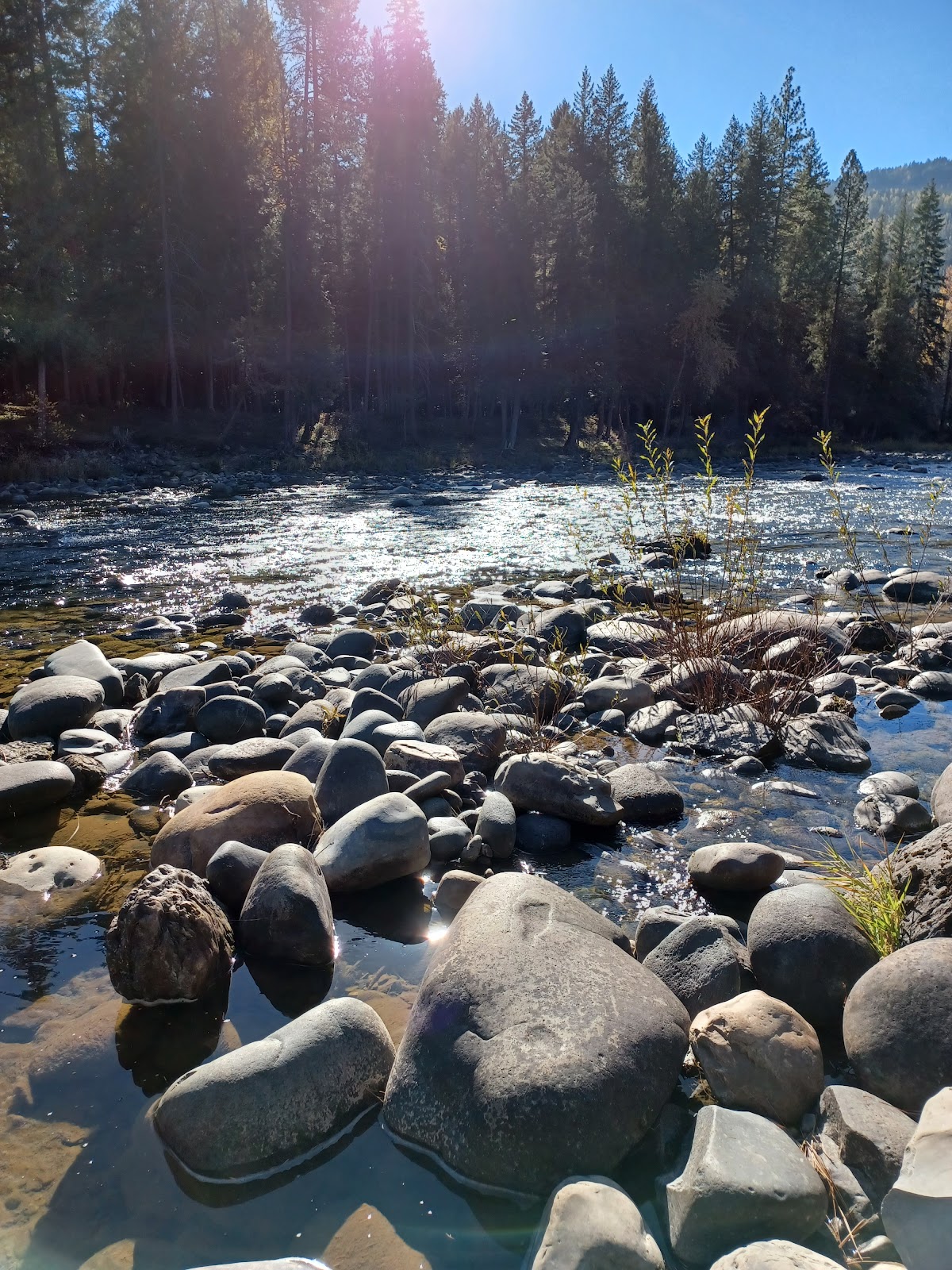 Yaak River Campground