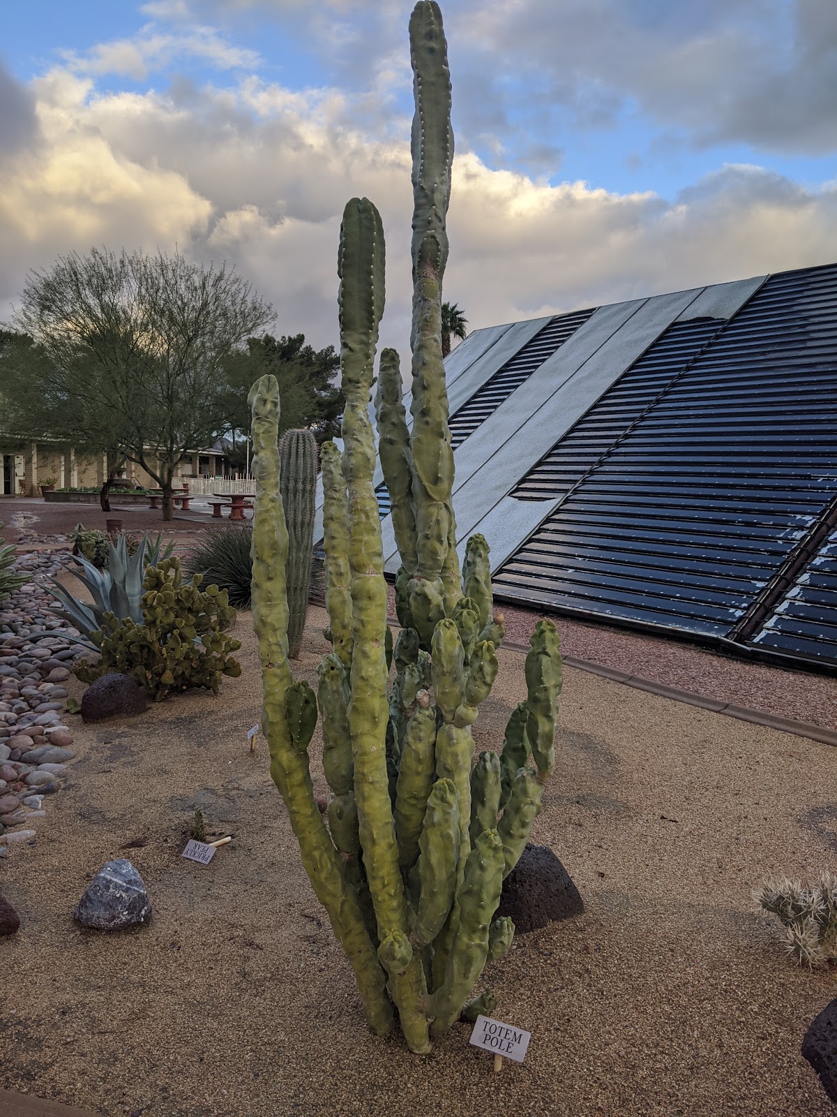 Desert Shadows RV Resort