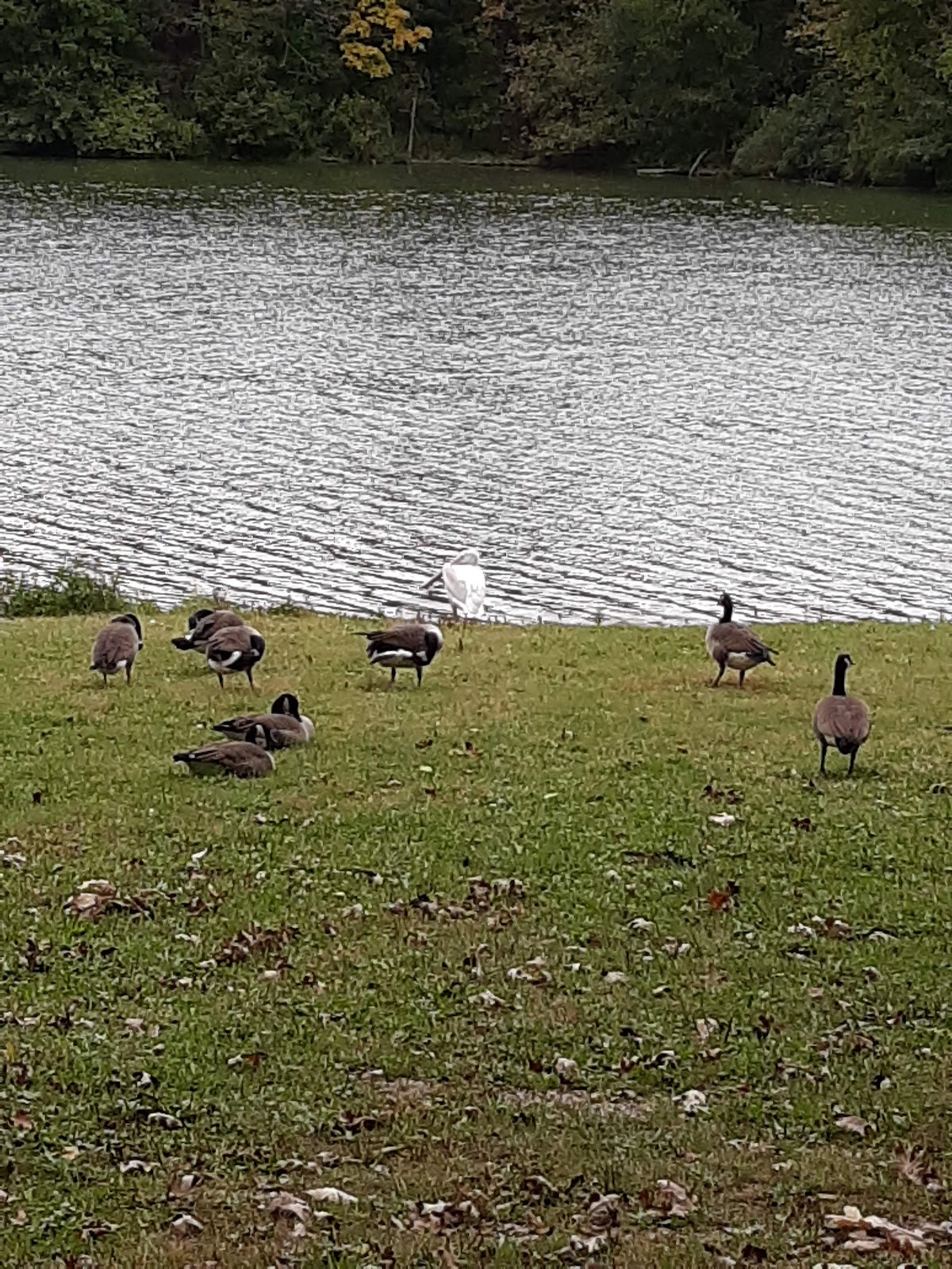 Fulton County Camping & Rec Area