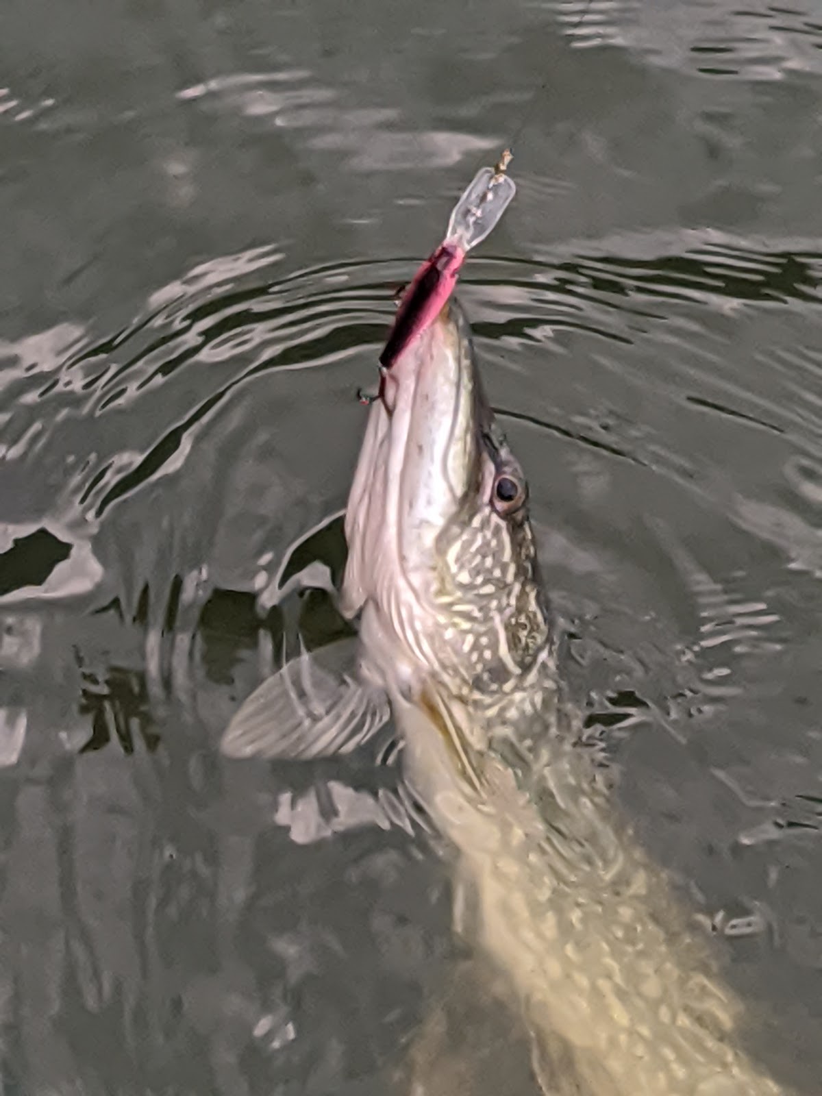 Le Mieux Resort & Campground