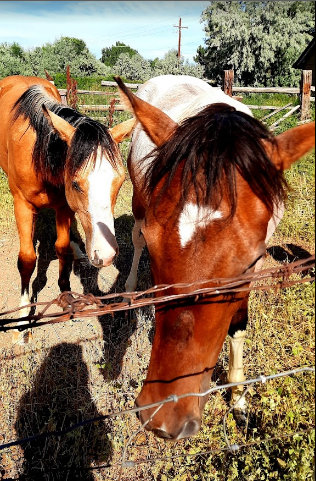 Worland RV Park and Campground