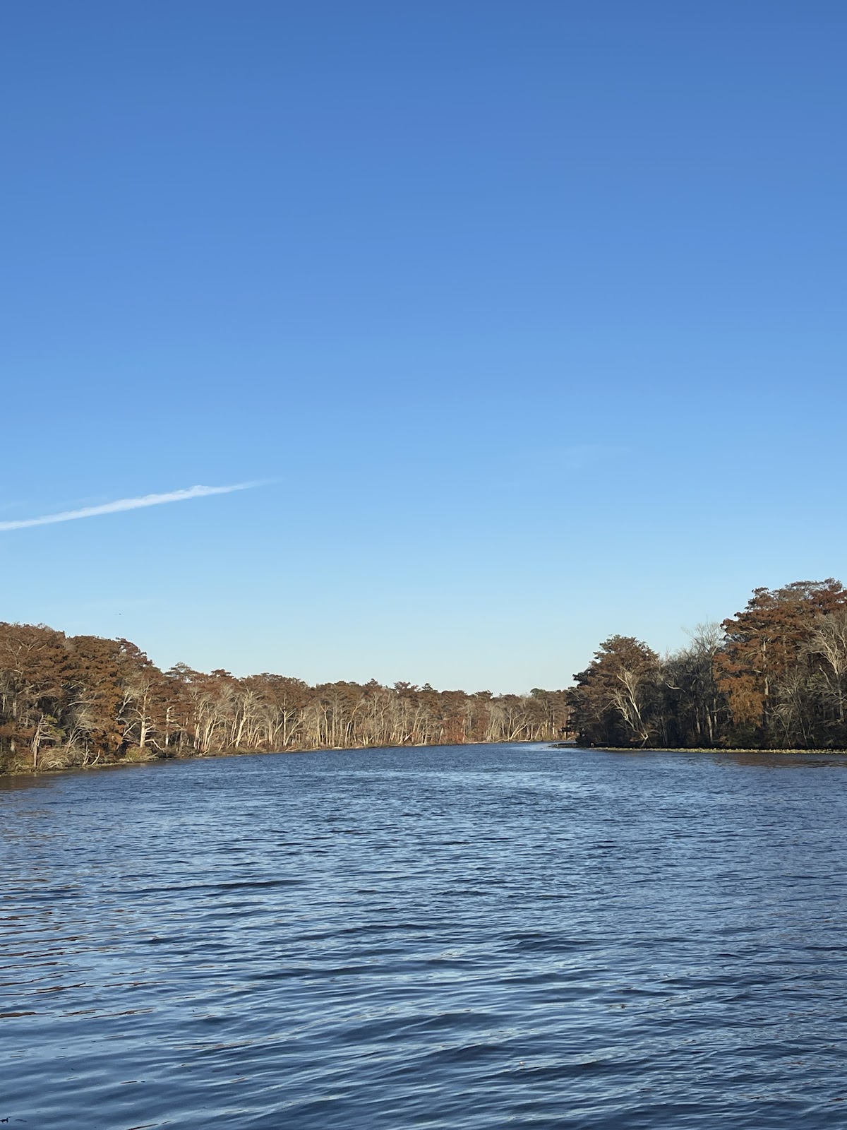 Milburn Landing Campground