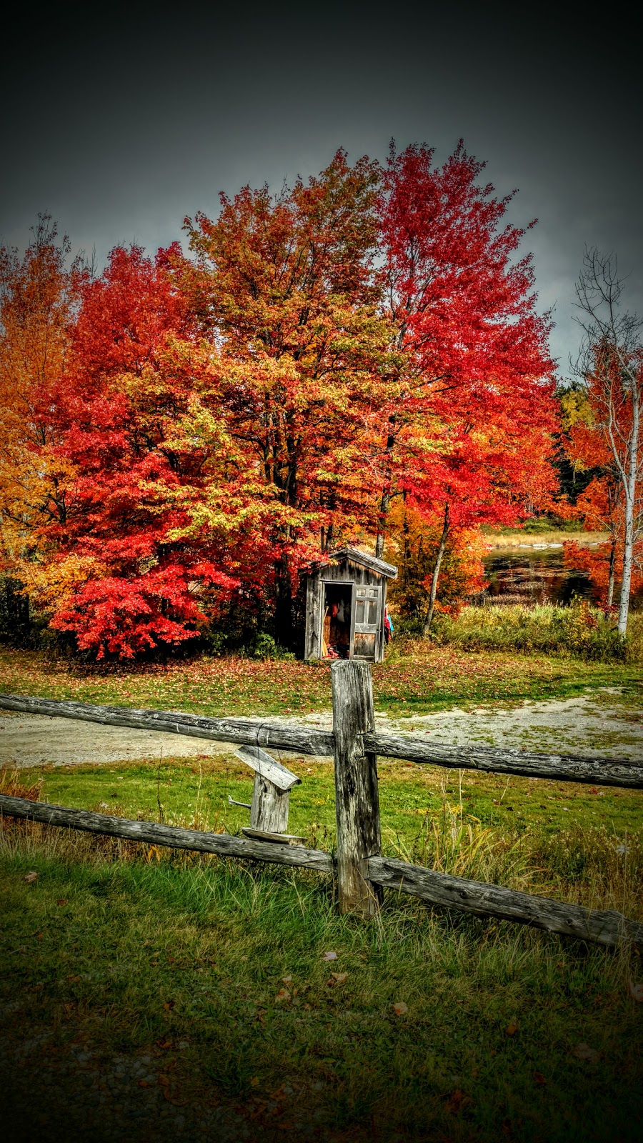 Loon Echo Family Campground